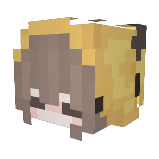 cafe_eh_bom Minecraft avatar head, 3D render
