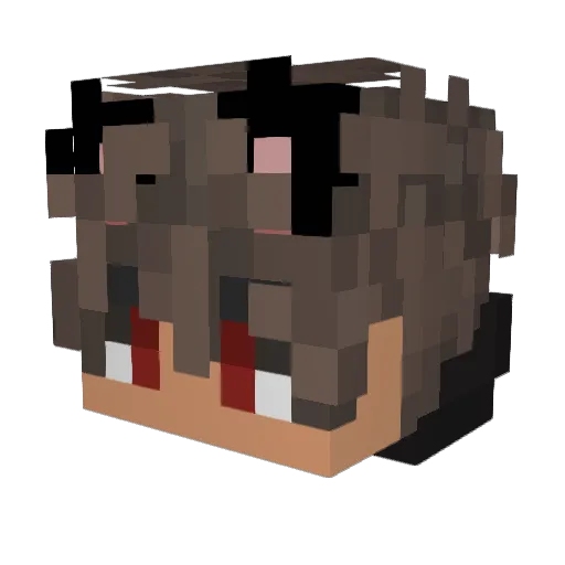 caffeinatedbones Minecraft avatar head, 3D render