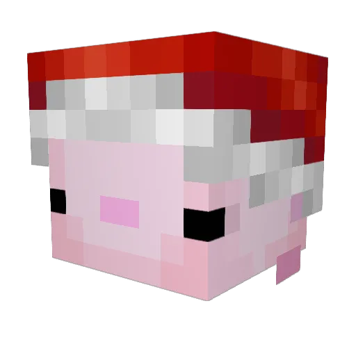 cagiaa Minecraft avatar head, 3D render