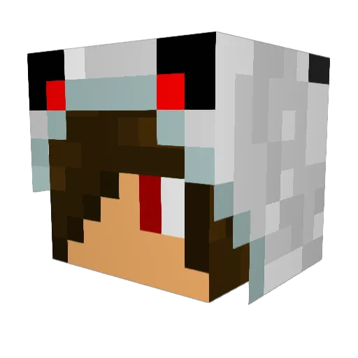 cagy100 Minecraft avatar head, 3D render