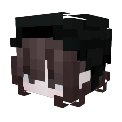 caibao666 Minecraft avatar head, 3D render