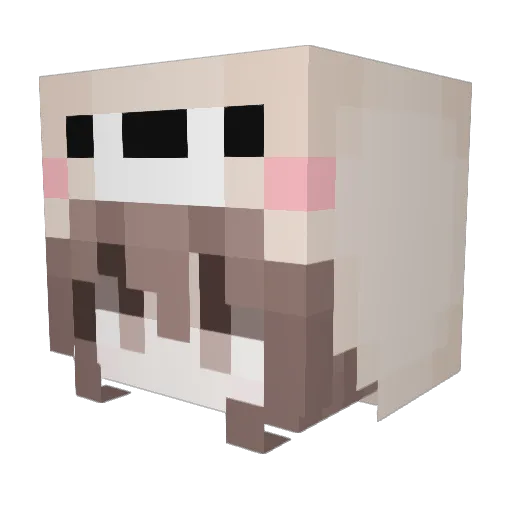 caidyn600 Minecraft avatar head, 3D render