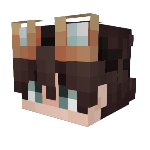 cainiao33 Minecraft avatar head, 3D render