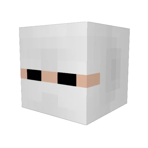 caio0ol Minecraft avatar head, 3D render