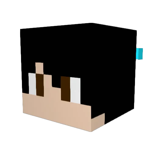caio206 Minecraft avatar head, 3D render