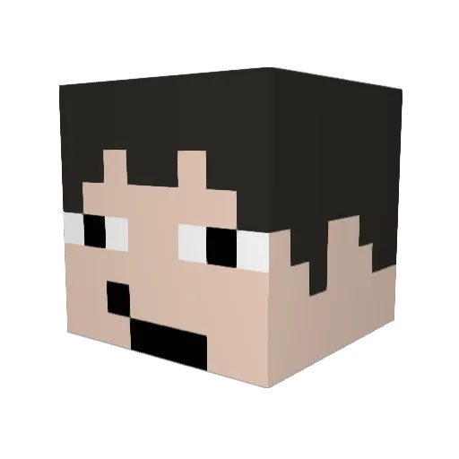 caioplays5 Minecraft avatar head, 3D render