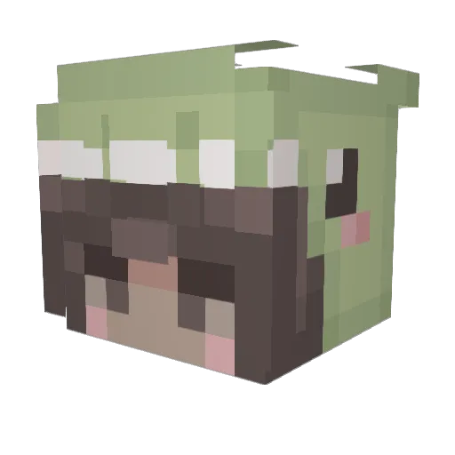 cait123456789 Minecraft avatar head, 3D render