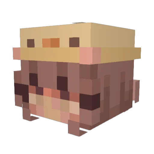 cait2121 Minecraft avatar head, 3D render