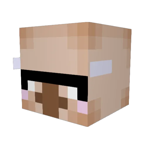 cait_fortier Minecraft avatar head, 3D render