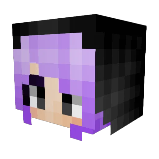 caitdogz8 Minecraft avatar head, 3D render