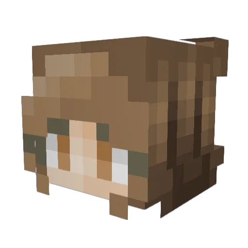 caitfoster Minecraft avatar head, 3D render