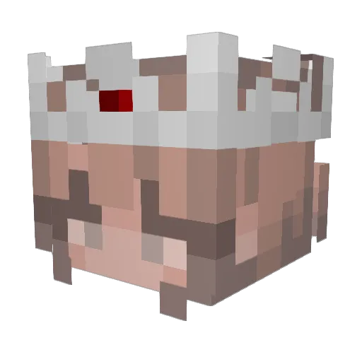 caitlinellenn Minecraft avatar head, 3D render