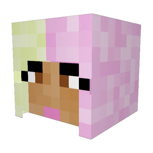 caitlinfaye Minecraft avatar head, 3D render