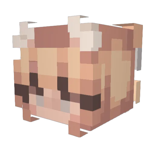 caitron3000 Minecraft avatar head, 3D render