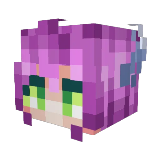 cake307 Minecraft avatar head, 3D render