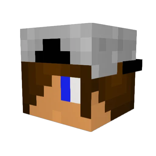 cakeboss1014 Minecraft avatar head, 3D render