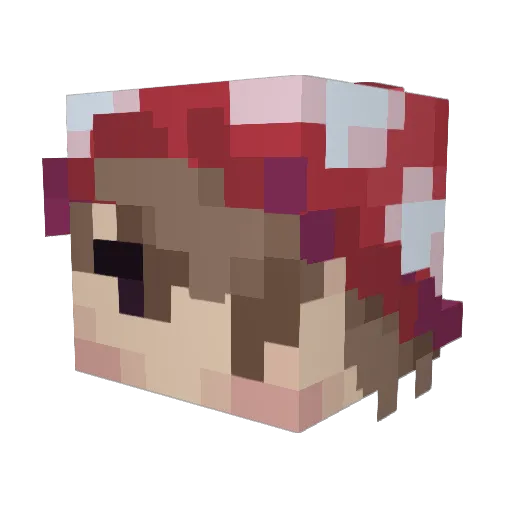 cakecrusaderr Minecraft avatar head, 3D render