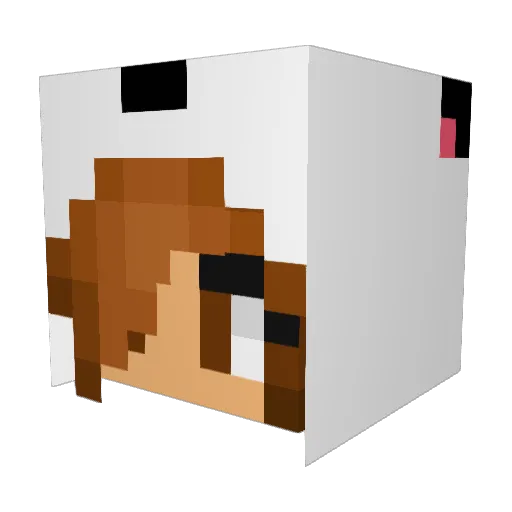 cakecup2 Minecraft avatar head, 3D render
