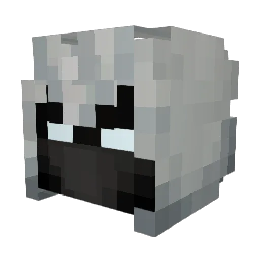 cakemonster224 Minecraft avatar head, 3D render