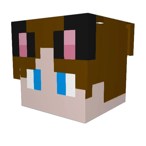 cakepls Minecraft avatar head, 3D render
