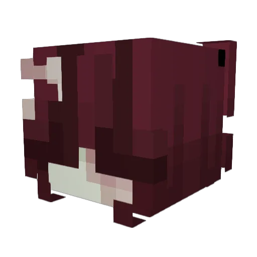 cakeycat Minecraft avatar head, 3D render