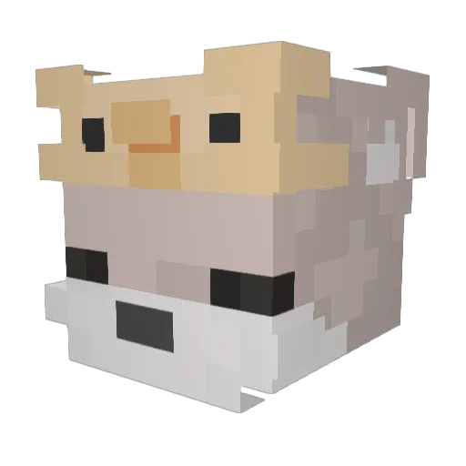 calamuffin Minecraft avatar head, 3D render