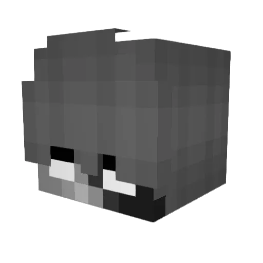 calcium0720 Minecraft avatar head, 3D render