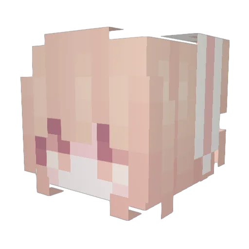 calcium22 Minecraft avatar head, 3D render
