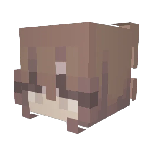 caleb12345678901 Minecraft avatar head, 3D render