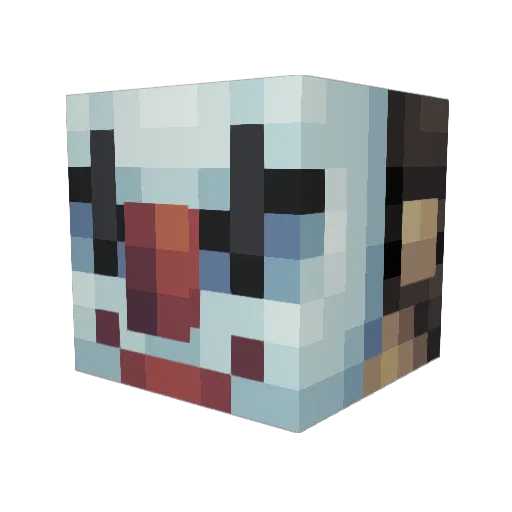 caleb_gamer12 Minecraft avatar head, 3D render