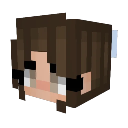 calguero Minecraft avatar head, 3D render