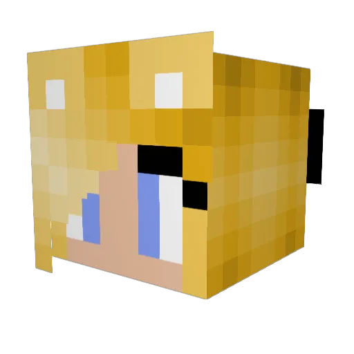 caliboo1904 Minecraft avatar head, 3D render