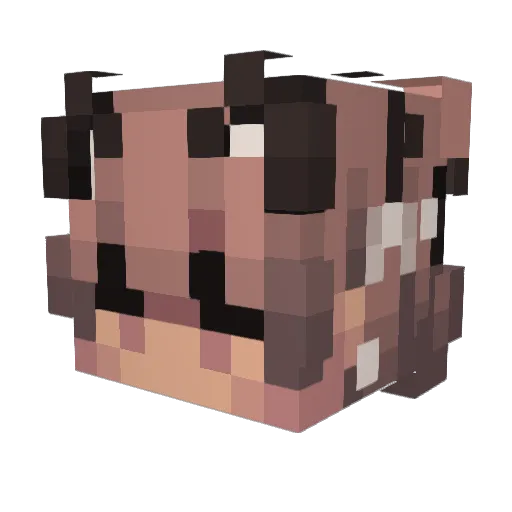 caliburn2004 Minecraft avatar head, 3D render