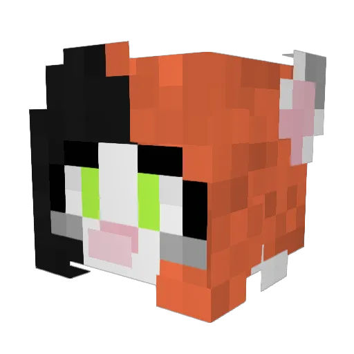 caliburny Minecraft avatar head, 3D render