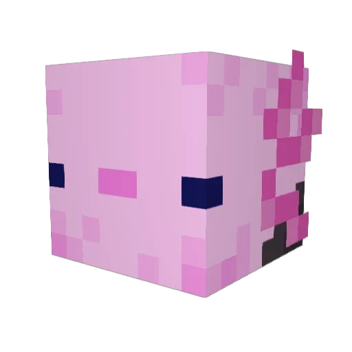 calicmia Minecraft avatar head, 3D render