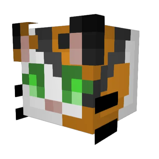 calicokitty123 Minecraft avatar head, 3D render