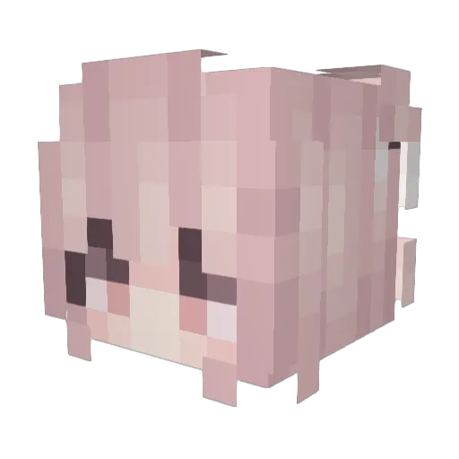 californiacat Minecraft avatar head, 3D render