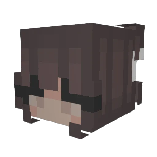 caligo212 Minecraft avatar head, 3D render