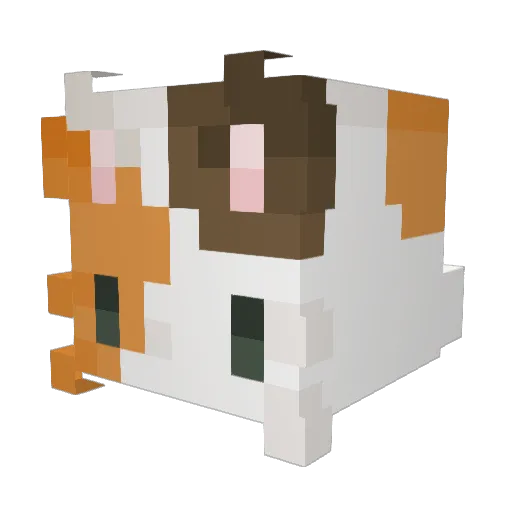 call_me_ky Minecraft avatar head, 3D render