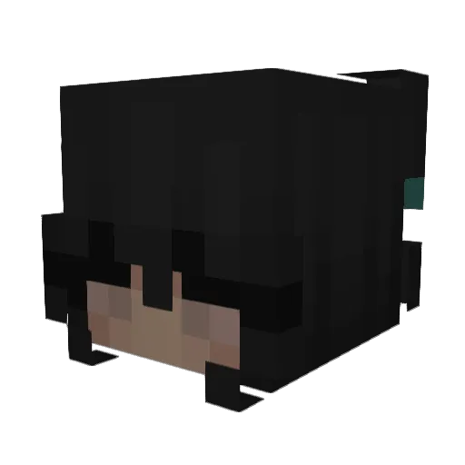 calliebae12 Minecraft avatar head, 3D render