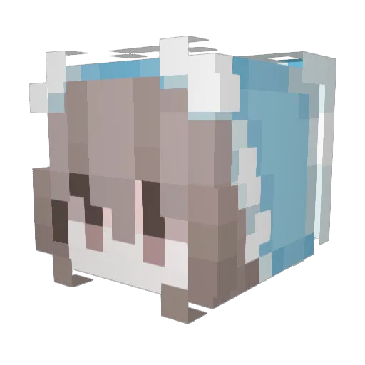 callima_arcana Minecraft avatar head, 3D render