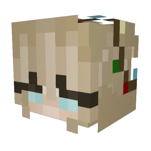 callisto_cat Minecraft avatar head, 3D render