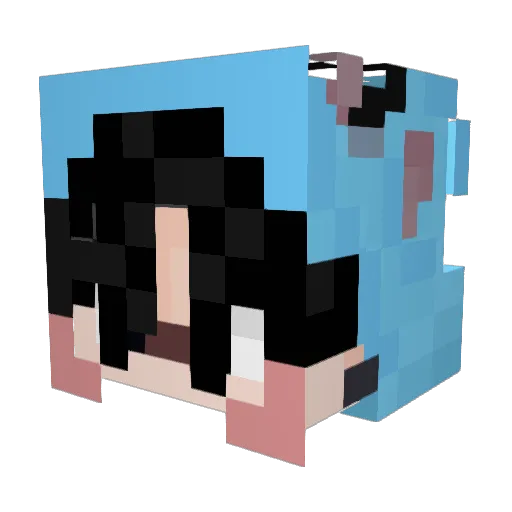 callmepat_ Minecraft avatar head, 3D render
