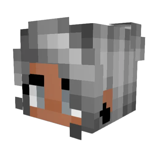 callmetokyo Minecraft avatar head, 3D render