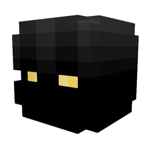 callmetomorrow Minecraft avatar head, 3D render