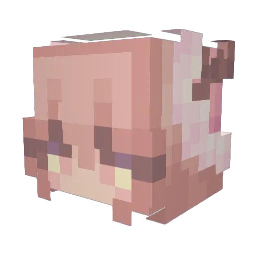 callunaa Minecraft avatar head, 3D render