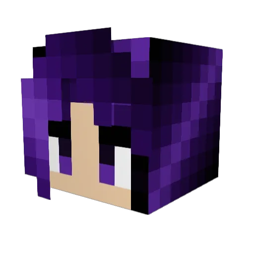 calmbfrthst0rm Minecraft avatar head, 3D render