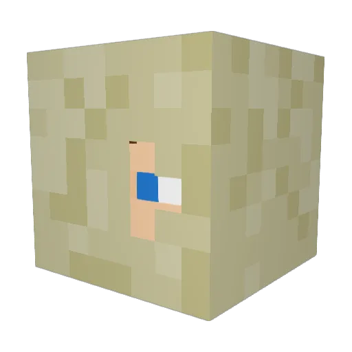 calmpanda2 Minecraft avatar head, 3D render
