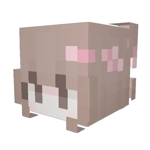 calsi Minecraft avatar head, 3D render