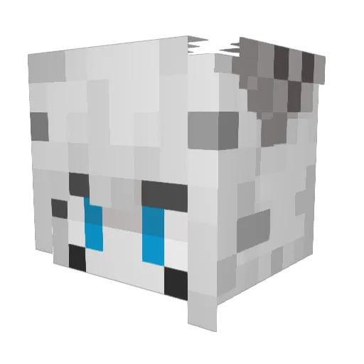 calvin111111 Minecraft avatar head, 3D render